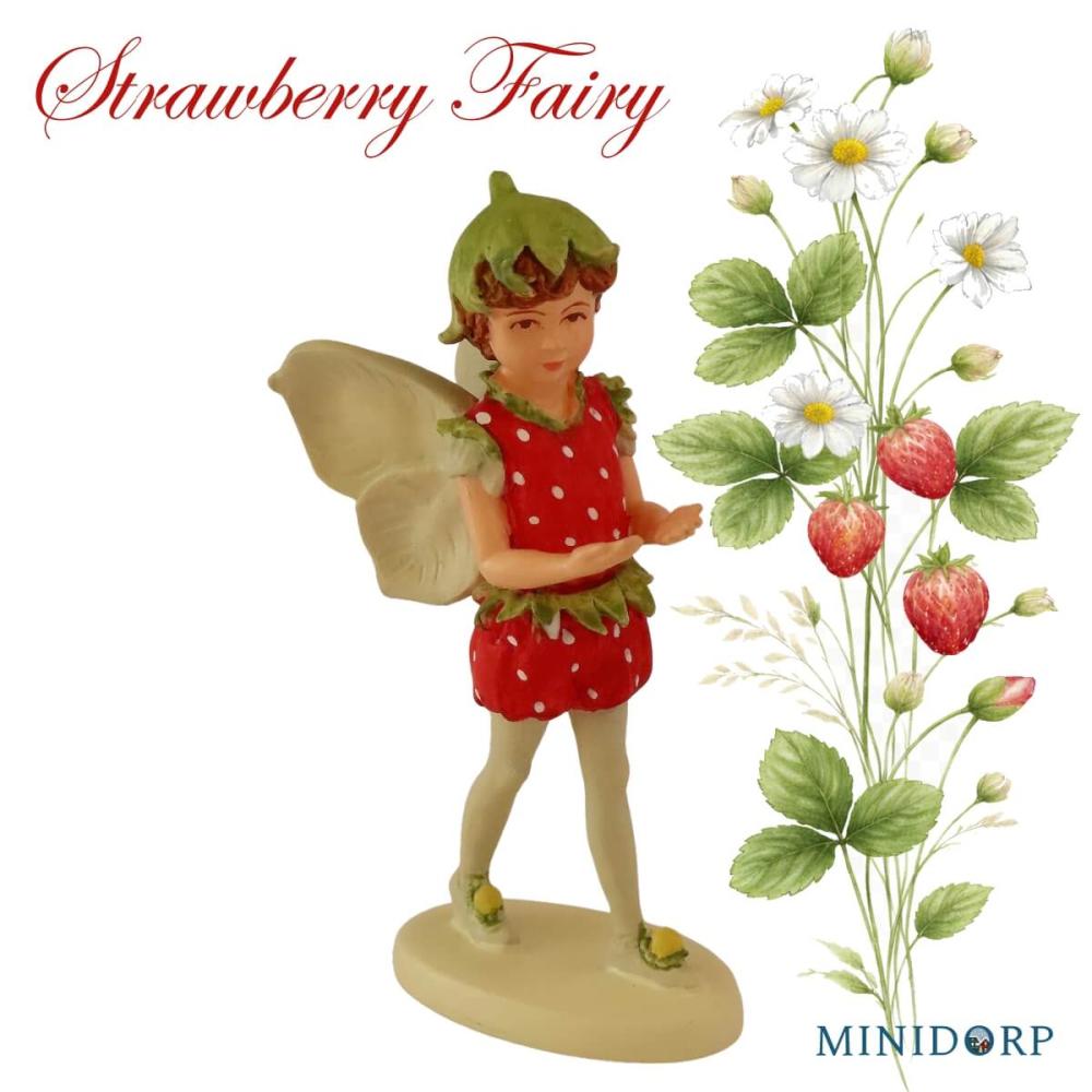 Bloemenelfje - Strawberry Fairy