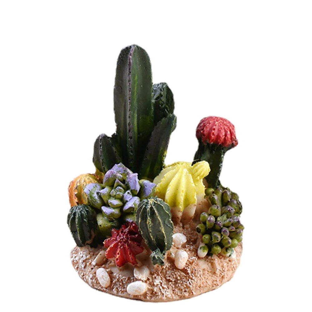 Cactus en Succulent Landschap