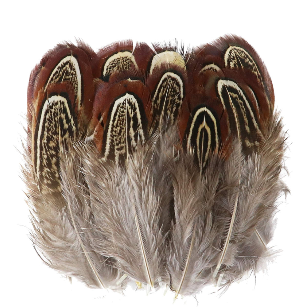 Rugveren van Fazant - 15 Gram - - Veren -