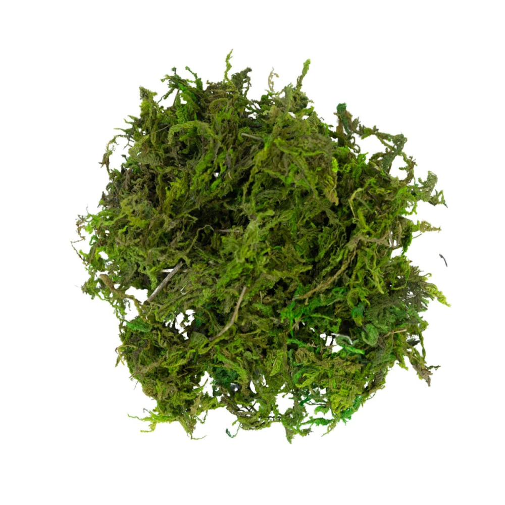 Groen Mos - Zakje 30gr - My Village - - Mos - 8717545190814