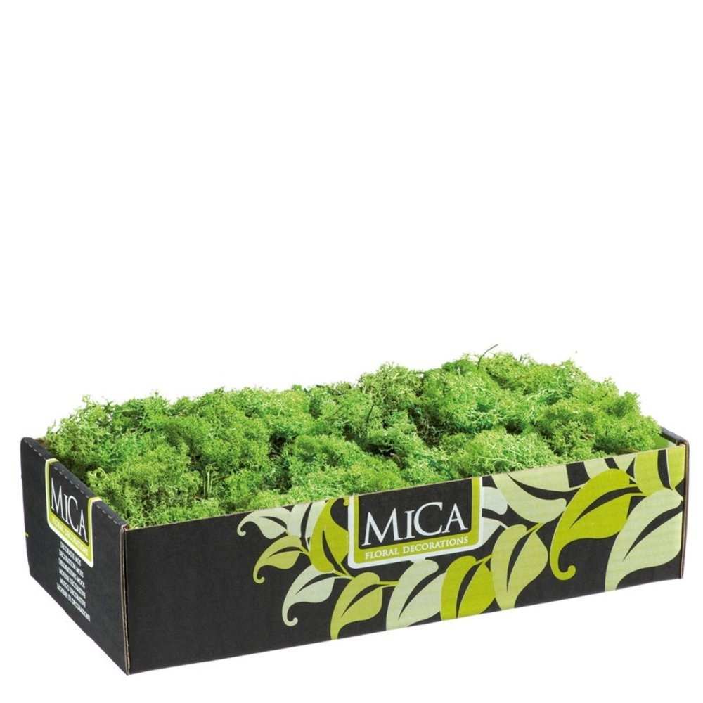 Groen Rendiermos - Doos 500gr - Mica Decorations - - Mos - 8711473484021
