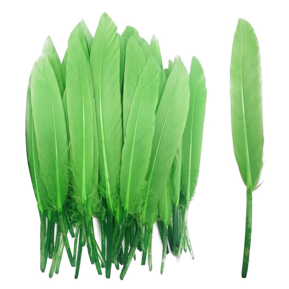 Groene Penveren - 14 cm - 24 Stuks - - Veren -