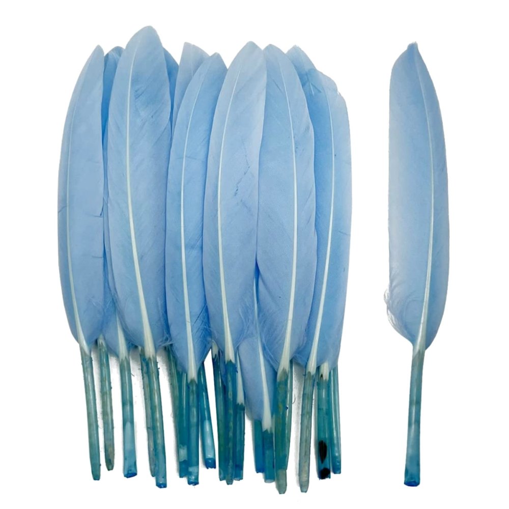 Lichtblauwe Penveren - 14 cm - 24 Stuks - - Veren -