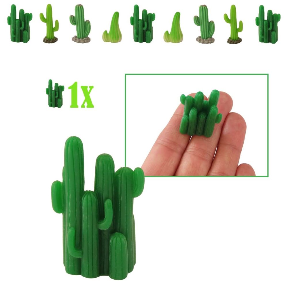 Mini Fairy Castle Cactus