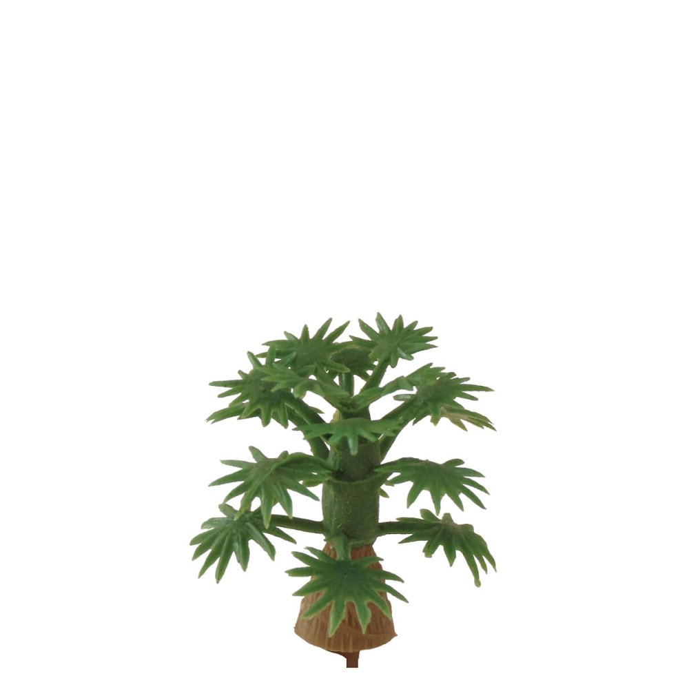 Miniatuur Kokospalm - 2 cm