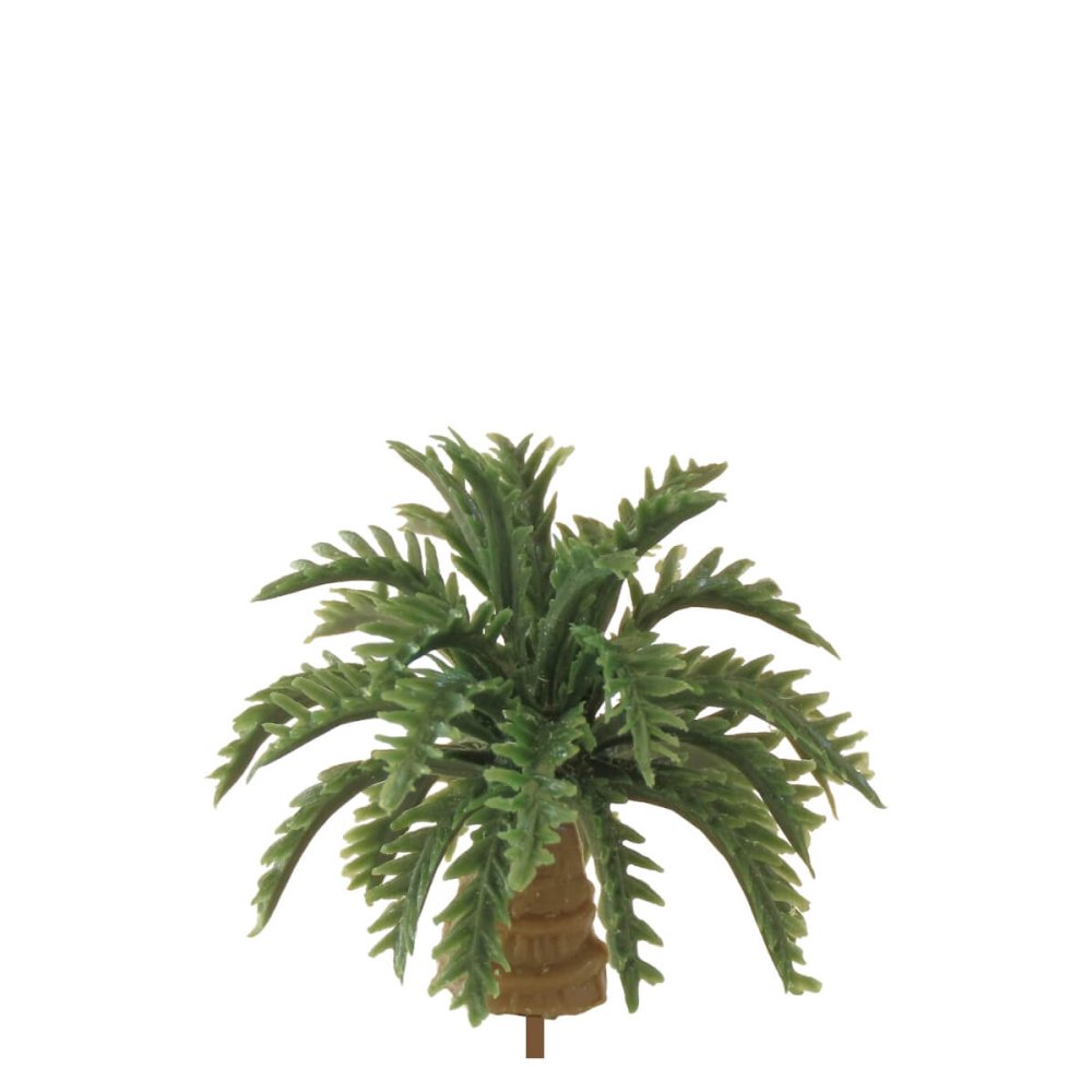 Miniatuur Kokospalm - 2.5cm