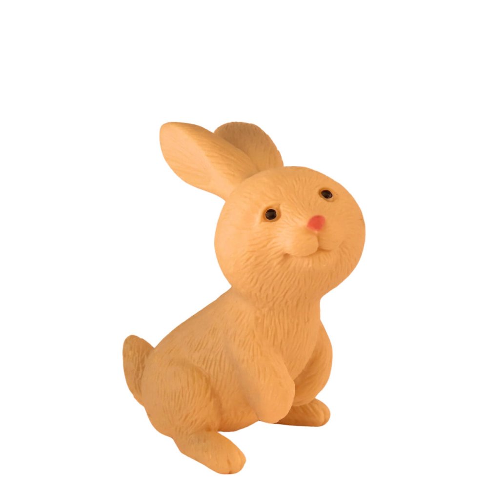 Miniatuur Konijn Flocon
