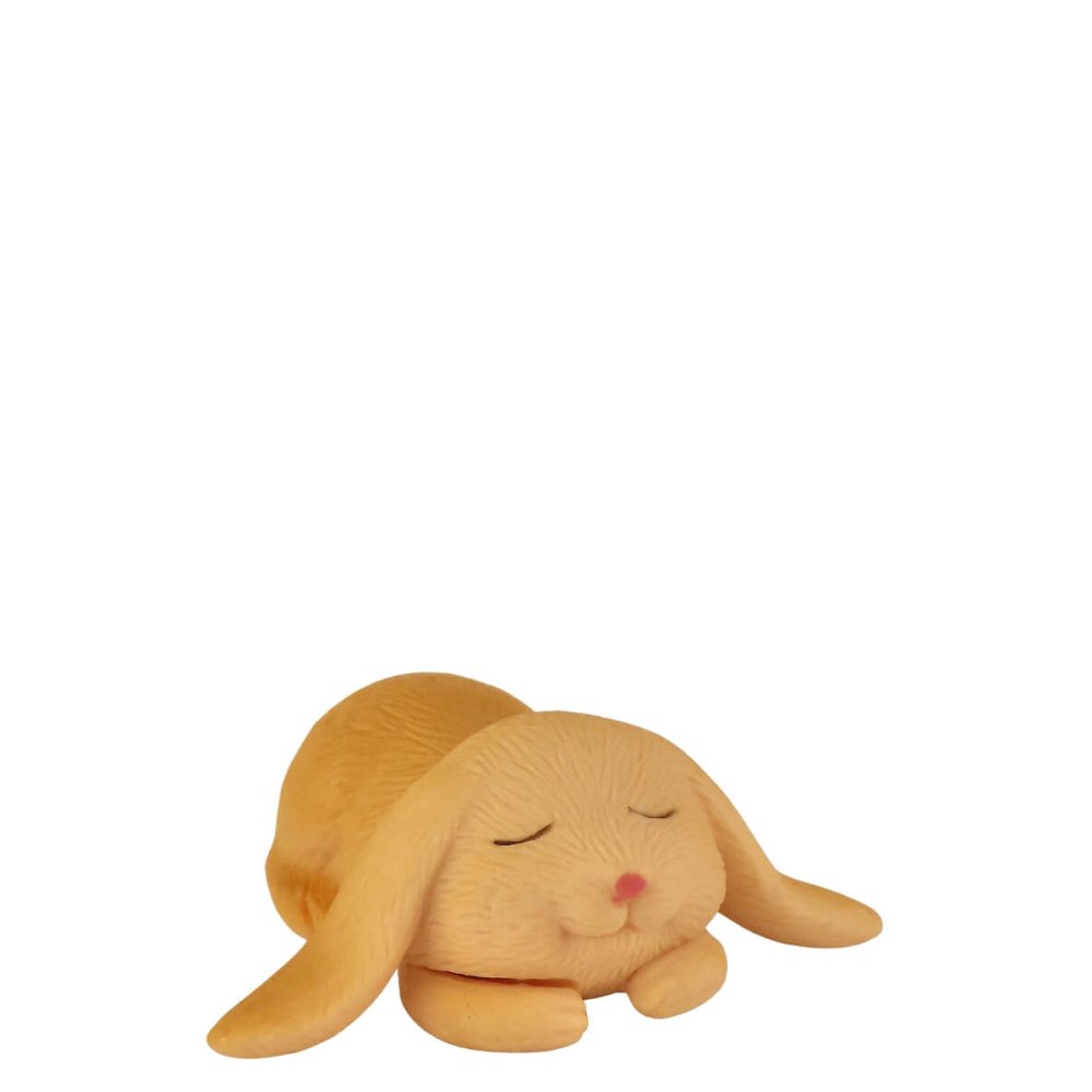 Miniatuur Konijn Pluisje