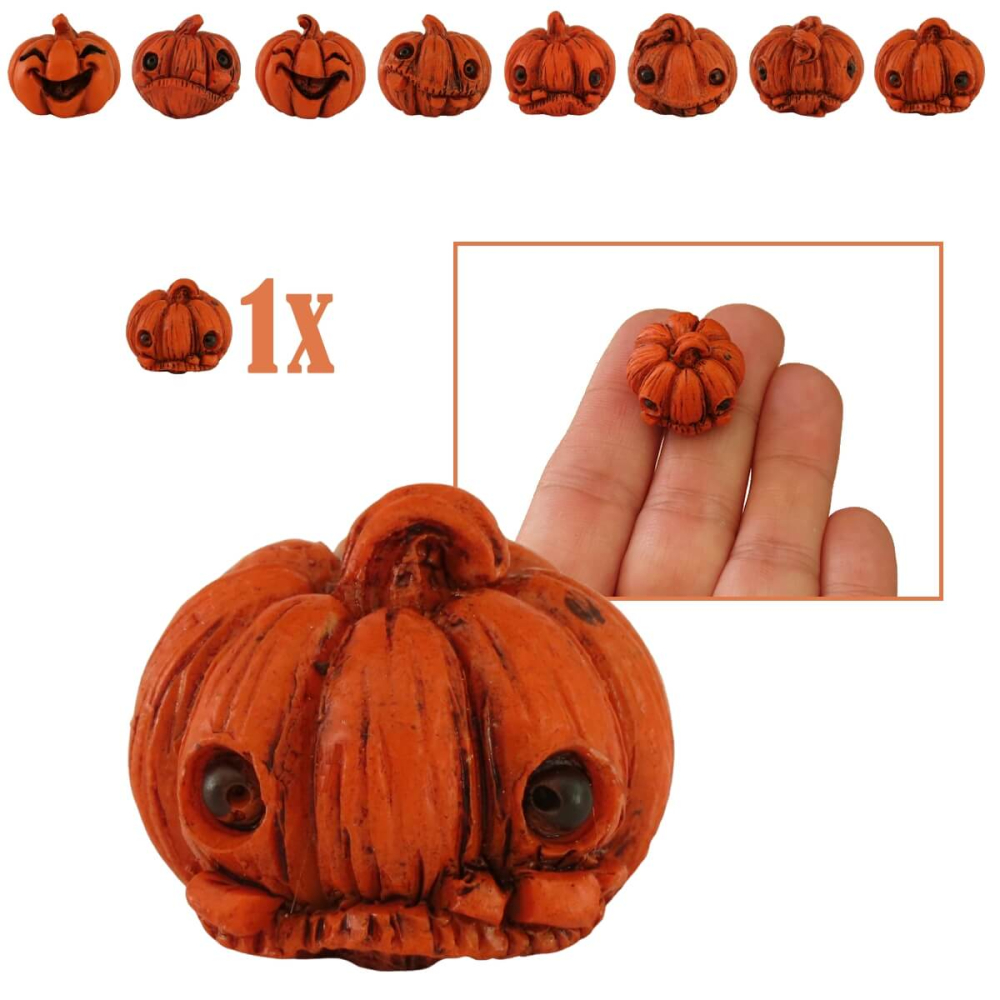 Miniatuur Pompoen Shy Shine