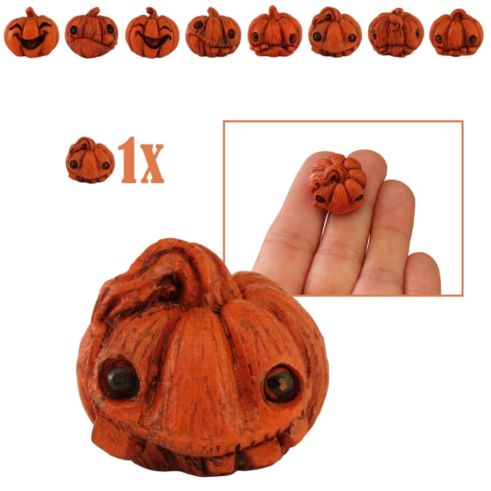 Miniatuur Pompoen Sleepy Sprout