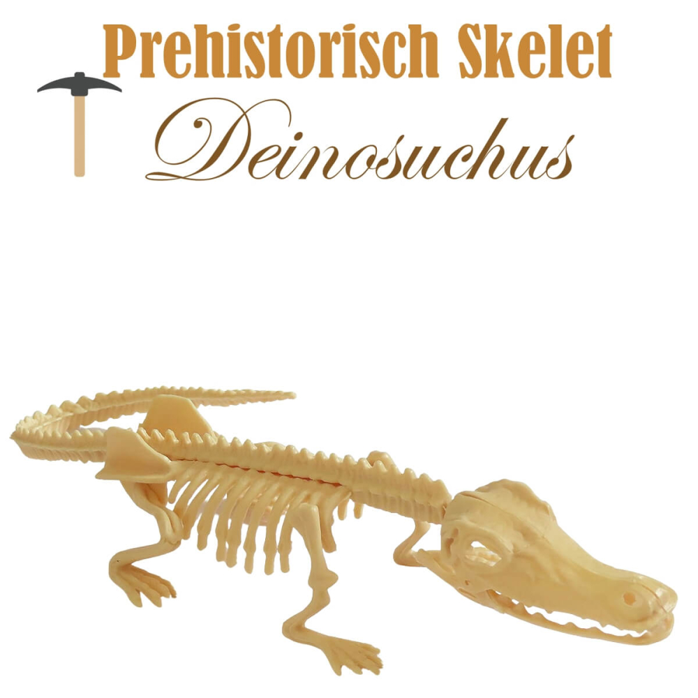 Miniatuur Prehistorisch Skelet - Deinosuchus