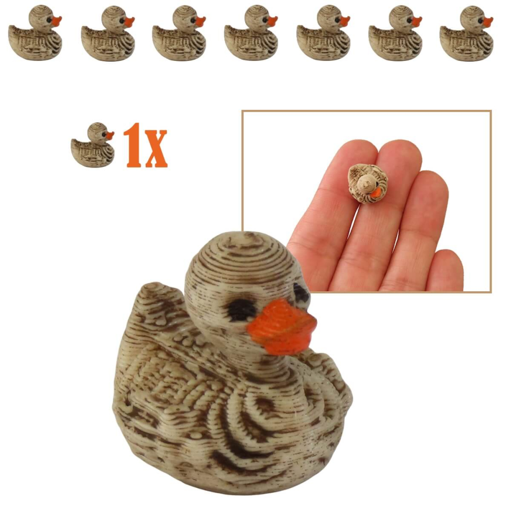 Miniatuur Skelet Eendje