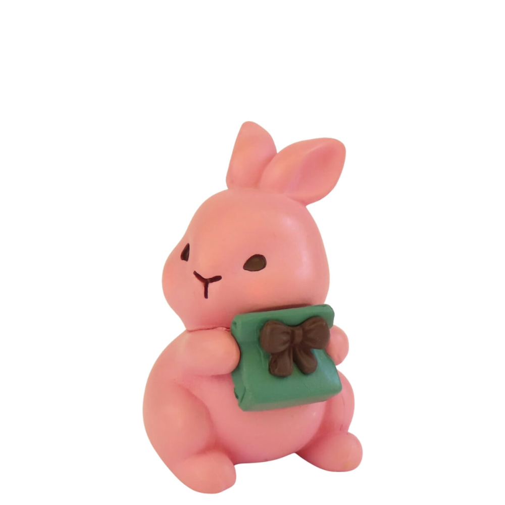 Mollig Miniatuur Konijn Dottie