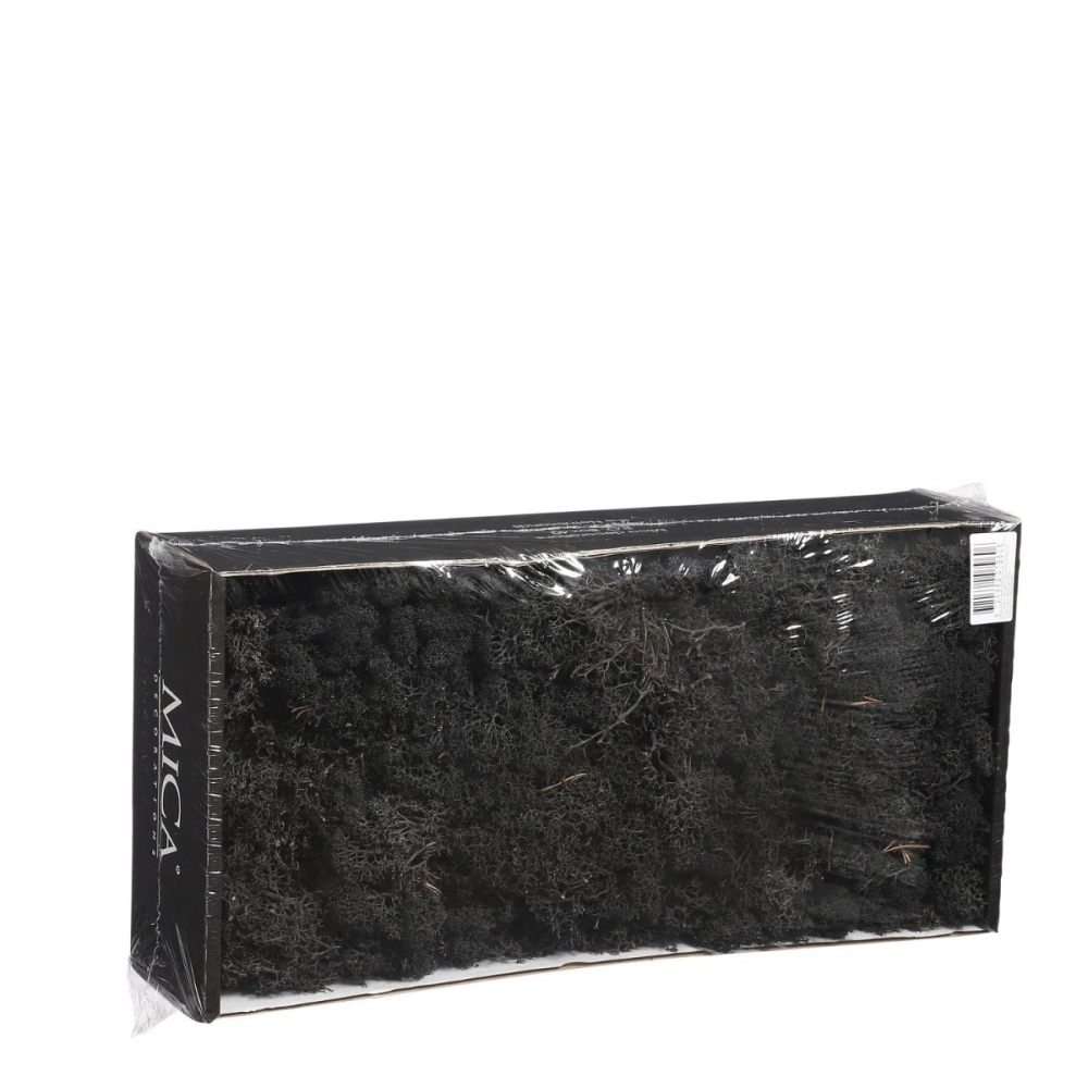 Paars Rendiermos - Doos 500gr - Mica Decorations - - Mos -