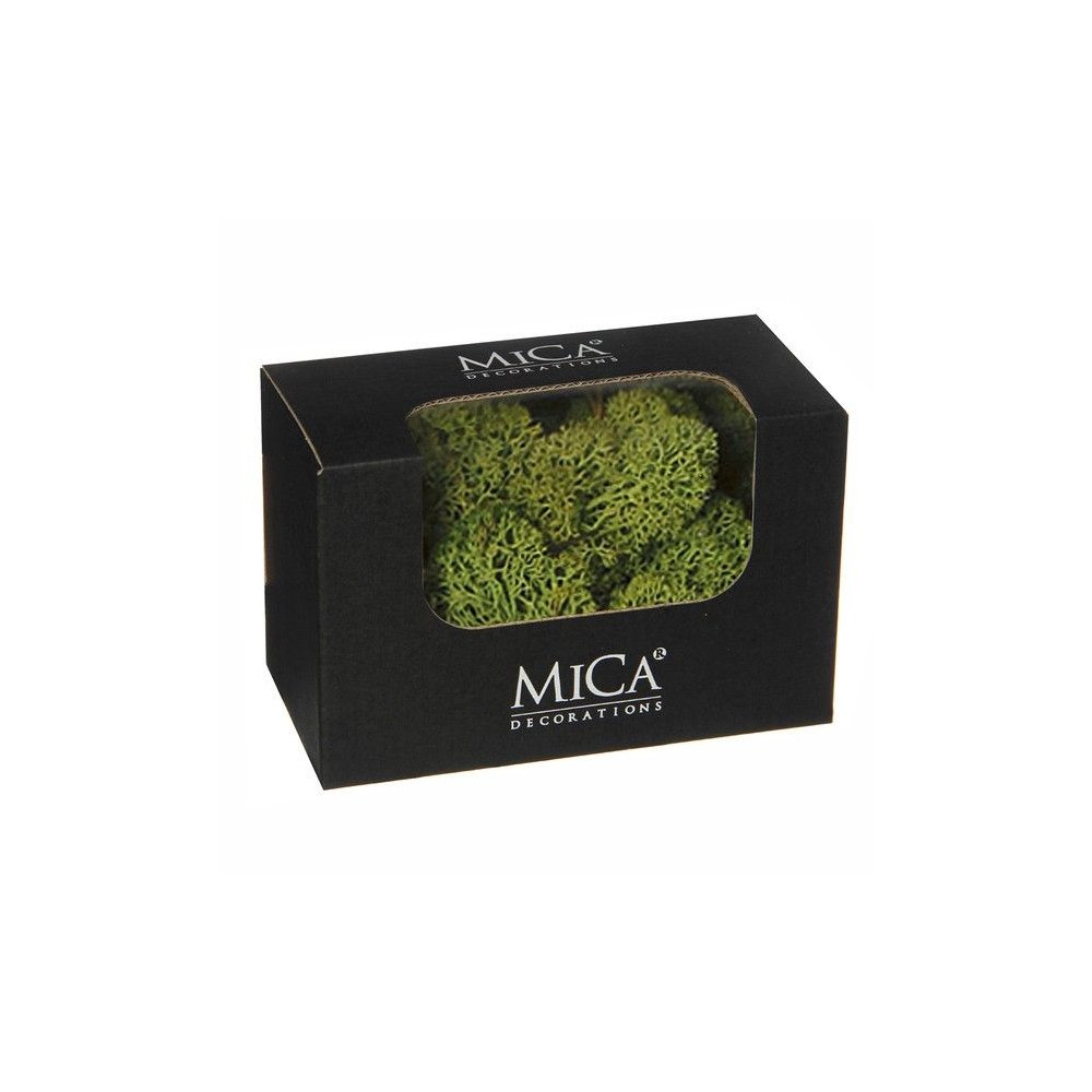 Reindeermos Lichtgroen 50gr - Mica Decorations - - Mos -