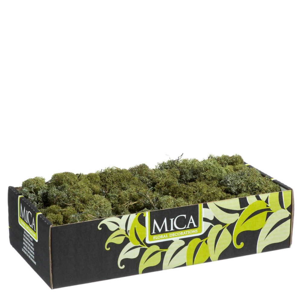 Rendiermos Donkergroen 500gr - Mica Decorations - - Mos - 8711473271348