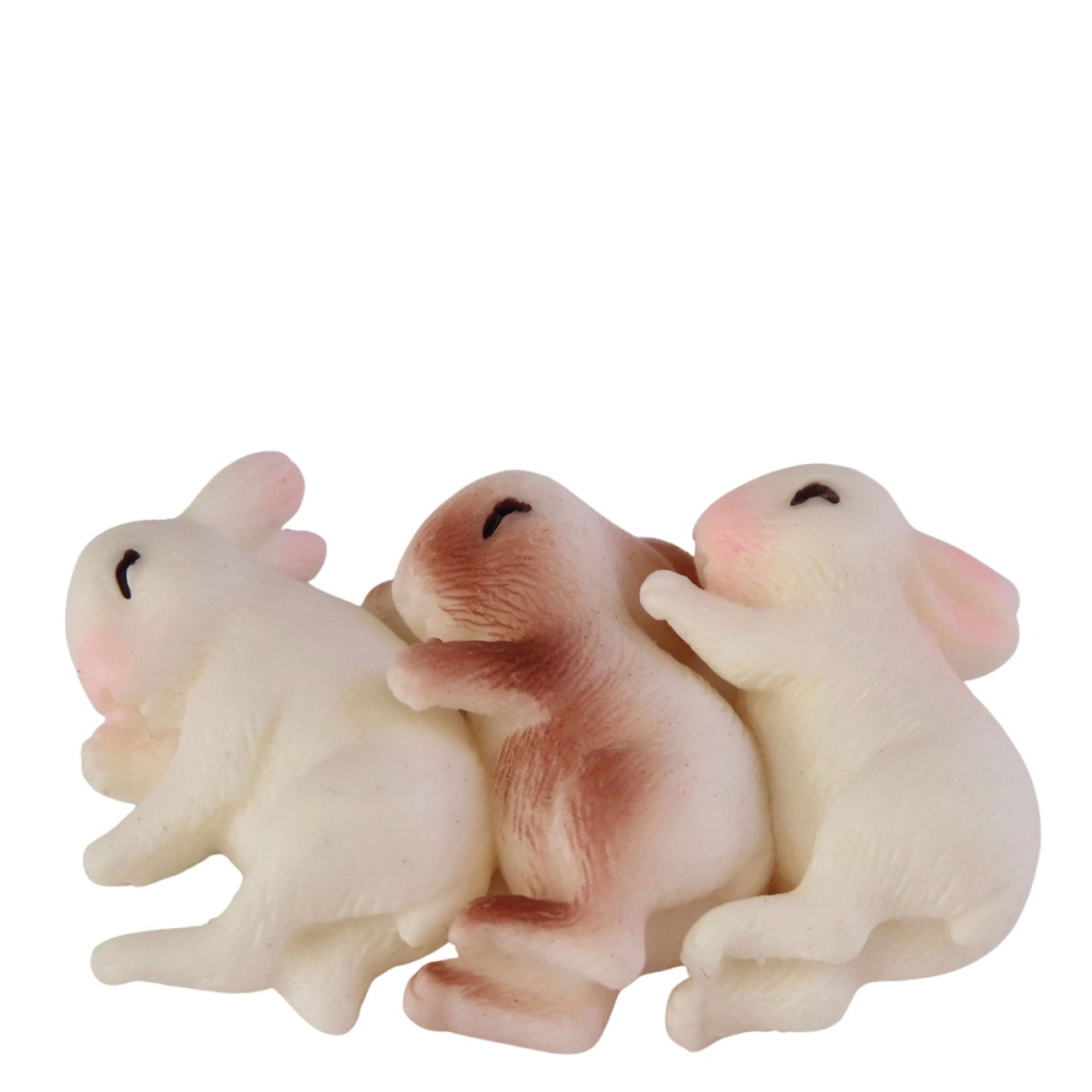 Slapende Miniatuur Konijntjes