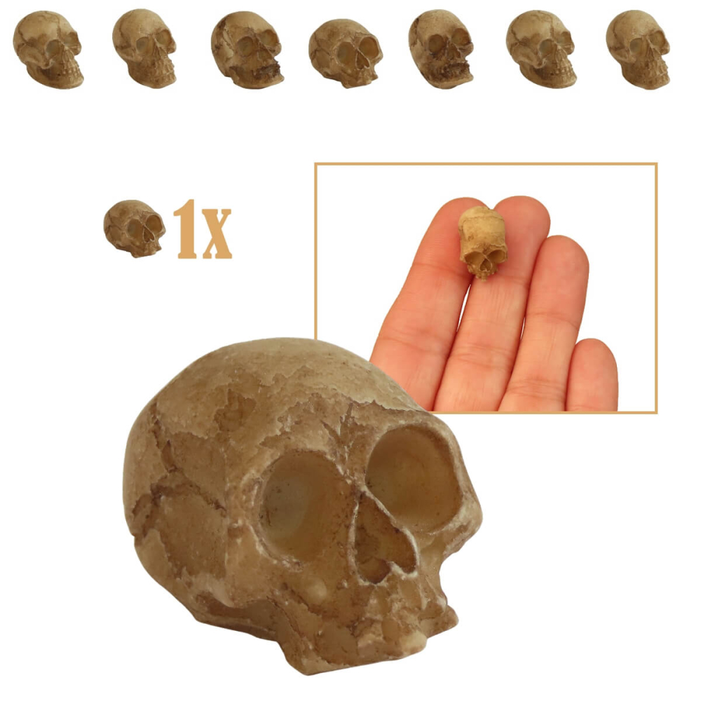 Verouderde Miniatuur Schedel