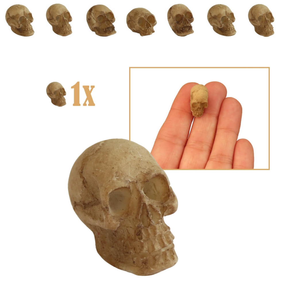 Verweerde Miniatuur Doodskop