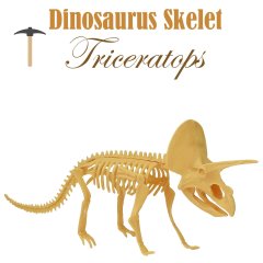 Miniatuur Dinosaurus Skelet - Triceratops