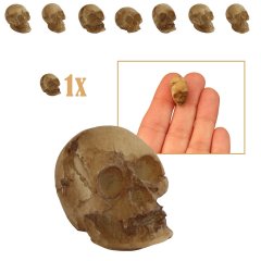 Aangetast Miniatuur Doodshoofd - 1.4cm