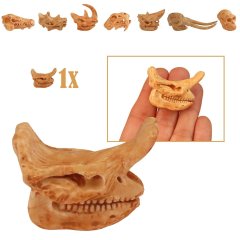 Miniatuur Schedel van Embolotherium (Stormramdier)