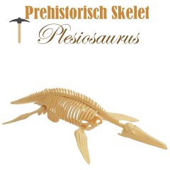Miniatuur Prehistorisch Skelet - Plesiosaurus