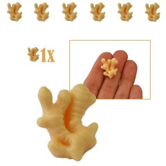 Miniatuur Gember