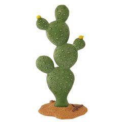Miniatuur Schijfcactus - 10cm