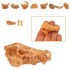 Miniatuur Schedel van Archaeotherium (Helvarken)