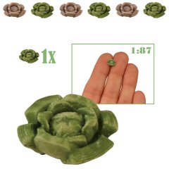 Miniatuur Witte Kool - 1:87