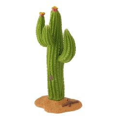 Miniatuur Cactus - 9.8cm